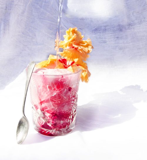 coyo-blood-orange-raspberry-kombucha-float_5393-cropped-and-lightened1
