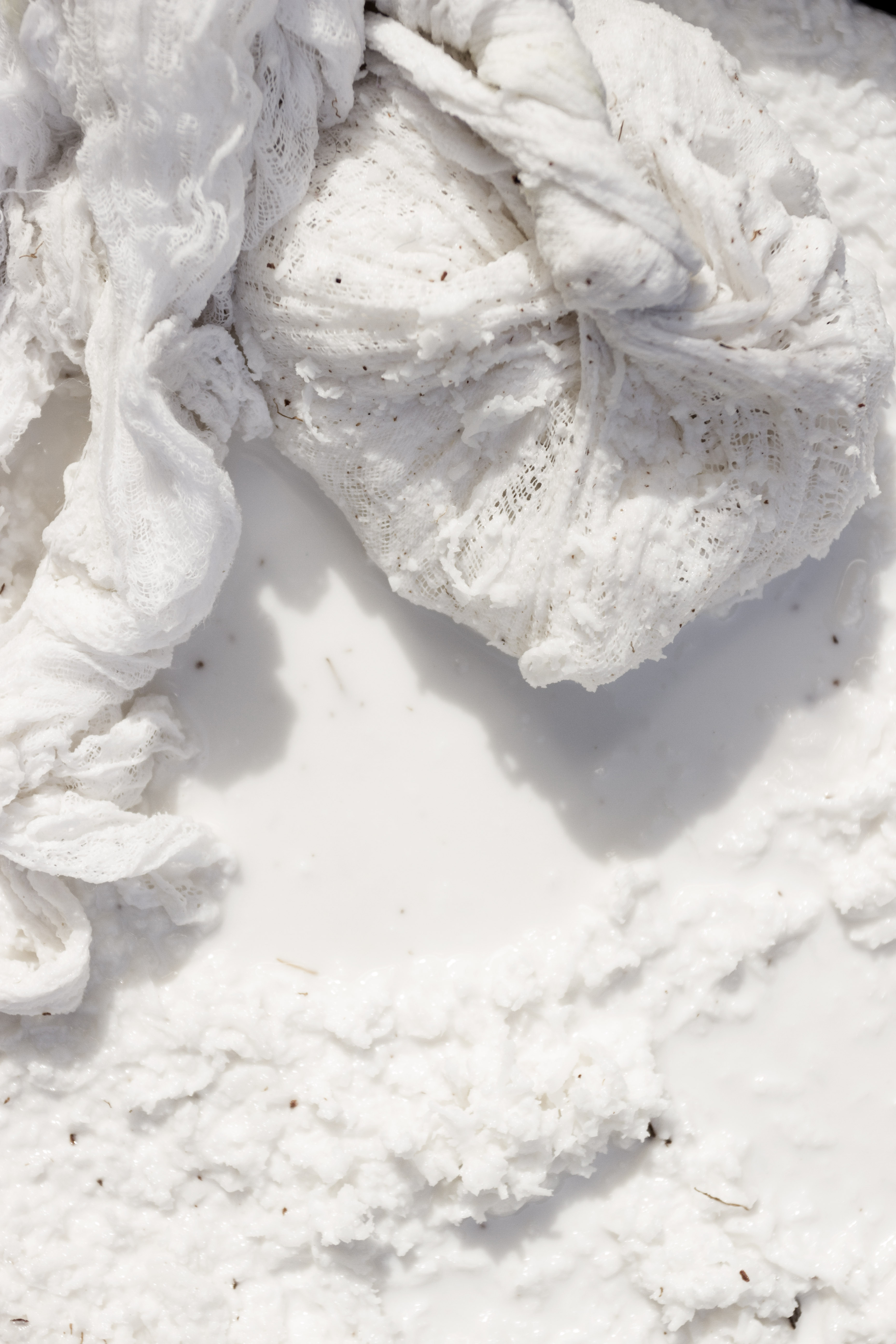 COYO_HomemadeCoconutMilk