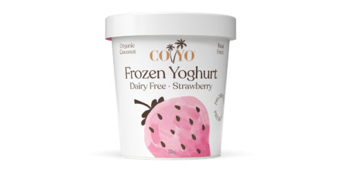 COYO Dairy Free Frozen Yoghurt Strawberry